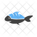پیش‌نمایش فایل shark-70 از پک دریا
