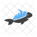 پیش‌نمایش فایل shark-71 از پک دریا