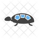 پیش‌نمایش فایل turtle-72 از پک دریا