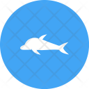 پیش‌نمایش فایل dolphin-98 از پک دریا
