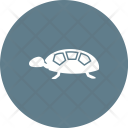 پیش‌نمایش فایل turtle-73 از پک دریا
