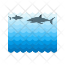 پیش‌نمایش فایل fish-650 از پک دریا