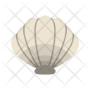 پیش‌نمایش فایل sea-shell-2 از پک دریا