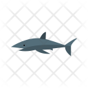 پیش‌نمایش فایل shark-74 از پک دریا