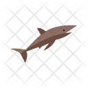 پیش‌نمایش فایل shark-75 از پک دریا