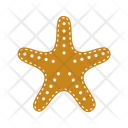 پیش‌نمایش فایل starfish-78 از پک دریا