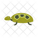 پیش‌نمایش فایل turtle-74 از پک دریا