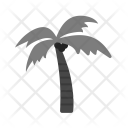پیش‌نمایش فایل coconut-tree-20 از پک دریا
