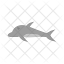 پیش‌نمایش فایل dolphin-100 از پک دریا