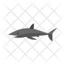 پیش‌نمایش فایل shark-76 از پک دریا