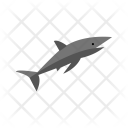 پیش‌نمایش فایل shark-77 از پک دریا