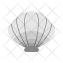پیش‌نمایش فایل shell-27 از پک دریا