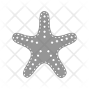 پیش‌نمایش فایل starfish-79 از پک دریا