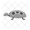 پیش‌نمایش فایل turtle-75 از پک دریا