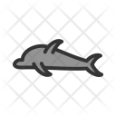 پیش‌نمایش فایل dolphin-101 از پک Sea 