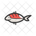 پیش‌نمایش فایل shark-78 از پک Sea 