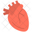 پیش‌نمایش فایل cardiology-7262931 از پک امکانات بیمارستان
