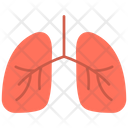 پیش‌نمایش فایل pulmonology-7262967 از پک امکانات بیمارستان