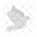 پیش‌نمایش فایل pigeon-8488492 از پک نینجا