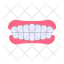 پیش‌نمایش فایل teeth-8583931 از پک مراقبت از دندان