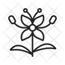 پیش‌نمایش فایل ixora-8669830 از پک گل‌ها