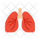 پیش‌نمایش فایل lungs-8909690 از پک چکاپ سلامت