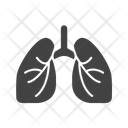 پیش‌نمایش فایل lungs-8909299 از پک چکاپ سلامت