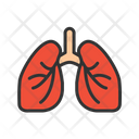 پیش‌نمایش فایل lungs-8909891 از پک چکاپ سلامت