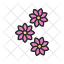 پیش‌نمایش فایل flowers-8996763 از پک روز از عشق