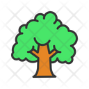 پیش‌نمایش سافاری