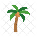 پیش‌نمایش فایل coconut-tree-9064116 از پک سافاری