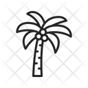 پیش‌نمایش فایل coconut-tree-9063087 از پک سافاری