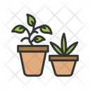 پیش‌نمایش فایل plants-9038630 از پک بازار خیابان