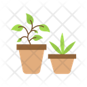 پیش‌نمایش فایل plants-9037939 از پک بازار خیابان