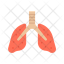 پیش‌نمایش فایل lungs-9153267 از پک آلودگی