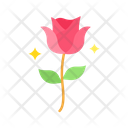پیش‌نمایش فایل rose-9384401 از پک عروسی