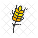 پیش‌نمایش فایل wheat-9717231 از پک اکتبرفست