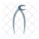 پیش‌نمایش فایل dentist-tool-ii-9921049 از پک مراقبت‌های بهداشتی