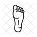 پیش‌نمایش فایل foot-9971588 از پک آناتومی بدن انسان