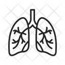 پیش‌نمایش فایل lungs-9971591 از پک آناتومی بدن انسان
