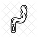 پیش‌نمایش فایل rectum-9971600 از پک آناتومی بدن انسان