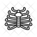 پیش‌نمایش فایل ribcage-9971623 از پک آناتومی بدن انسان