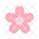 پیش‌نمایش فایل blossom-10476955 از پک کارناوال