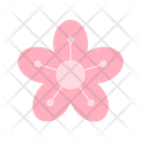 پیش‌نمایش فایل cherry-blossom-10476954 از پک کارناوال