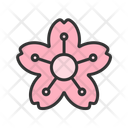 پیش‌نمایش فایل blossom-10477127 از پک کارناوال