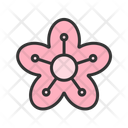پیش‌نمایش فایل cherry-blossom-10477126 از پک کارناوال
