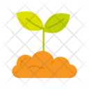 پیش‌نمایش فایل sprout-10341127 از پک کشاورزی