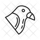 پیش‌نمایش فایل kite-10424363 از پک پرندگان