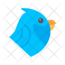 پیش‌نمایش فایل bird-10437107 از پک پرندگان