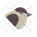 پیش‌نمایش فایل chickadee-10437109 از پک پرندگان
